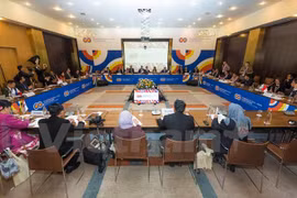 Ministros de cultura de ASEAN y Rusia celebran la primera reunión