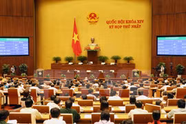 Parlamento vietnamita debate programa legislativo