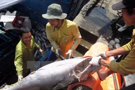 Exportación de pescado Tra vietnamita a EE.UU. no se verá afectada por nuevas normas