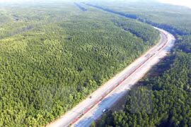 Existen más de 14 millones hectáreas de bosques en Vietnam