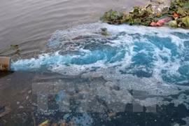 Ciudad Ho Chi Minh aspira a aprender experiencias de Japón en protección ambiental