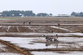 Vietnam promueve la cooperación en la Subregión del Mekong