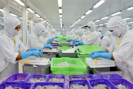 Optimas exportaciones vietnamitas de camarones