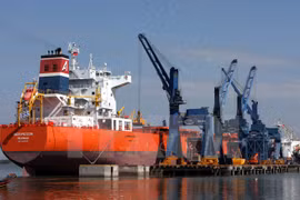 Vietnam busca medidas para promover desarrollo de puertos marítimos