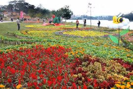 Concluyen Festival de Flores de Da Lat