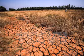 Acciones de protección ambiental en Vietnam deben apoyarse en la comunidad
