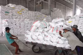 Vietnam destaca importancia de mercado filipino para exportación arrocera