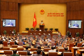 Parlamento vietnamita revisará hoy proyecto legal a favor de infantes