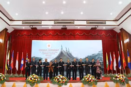 Vietnam en reunión sobre Comunidad de Cultura - Sociedad de ASEAN
