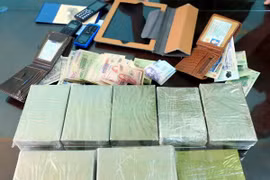 Desbaratan contrabando de drogas por vía postal en Vietnam