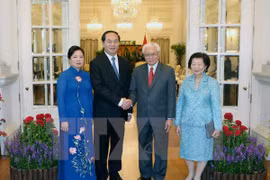 Presidente de Vietnam dialoga con líderes de Singapur