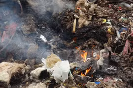 Vietnam busca apoyo en solución de problemas ambientales