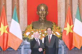 Vietnam e Irlanda acuerdan ampliar nexos de cooperación