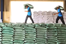 Empresas chinas estudian mercado de arroz en la provincia vietnamita