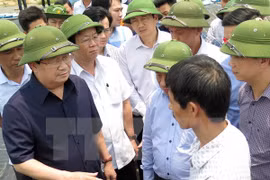 Vicepremier exige detectar causas de muerte masiva de peces en Ha Tinh