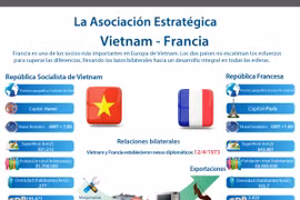 La Asociación Estratégica Vietnam- Francia