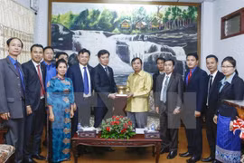 Jóvenes vietnamitas y laosianos consolidan la solidaridad especial bilateral