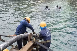 Grupo de telecomunicaciones Viettel invierte en red de cables submarinos