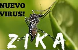 Vietnam no reporta ningún caso infectado por virus Zika