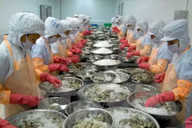 Prohíben a una empresa vietnamita exportar productos acuáticos a UE