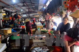 Asistencia urgente en Vietnam a pobladores afectados por muerte masiva de peces
