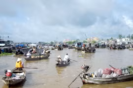 Desarrolla Vietnam turismo responsable en Delta del río Mekong