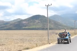 EE.UU. añade 500 mil dólares de ayuda a zonas afectadas por sequía en Vietnam