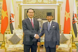 Emiten Vietnam y Brunei declaración conjunta