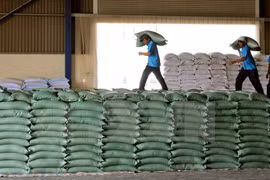Fuerte aumento de ventas arroceras de Vietnam en enero