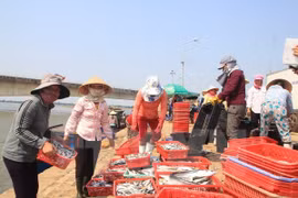 Quang Tri dedica esfuerzos por estabilizar la vida de pescadores locales
