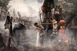 Indonesia registra 65 zonas en peligro de incendios forestales