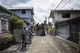 Detectan nuevos casos de Zika en Tailandia y Singapur