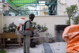 Detectan segundo caso del Zika en provincia sureña de Vietnam