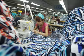 Intercambio comercial Vietnam-México experimentó gran salto en 2015