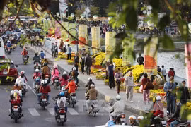 Crece número de turistas a provincia vietnamita de Lam Dong