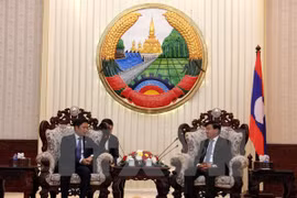 Estimulan inversiones de Vietnam en Laos