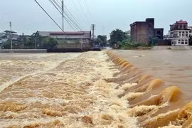 Tormenta Dianmu provoca pérdidas mínimas en Vietnam