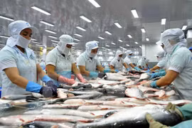 Vietnam alcanza monto millonario por exportaciones de pescado Tra