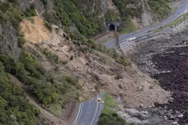 Ningún turista vietnamita en zona afectada por terremoto en Nueva Zelanda