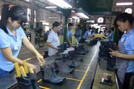 Sector del calzado de Vietnam se prepara para TPP