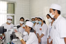Vietnam desarrolla recursos humanos para elevar la competitividad nacional