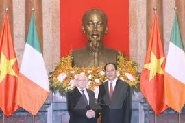 Visita del presidente irlandés insufla nuevo aliento a cooperación con Vietnam