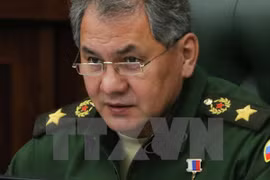 Rusia y ASEAN por fomentar lazos en defensa