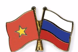 Fundan Asociación de Amistad Vietnam-Rusia de Dong Nai