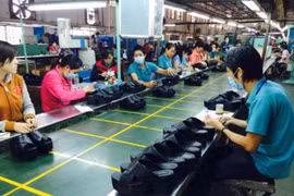 Sector del calzado de Vietnam se prepara para potenciar oportunidades del TPP