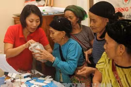 Asistencia holandesa al empoderamiento de mujeres en Vietnam