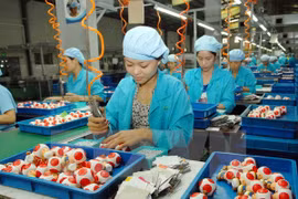 Impactos del TPP sobre los productos claves de Vietnam
