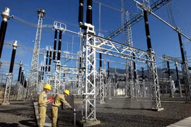 Grupo vietnamita proyecta ampliar cobertura de electricidad a todas áreas rurales