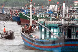 Vicepremier orienta labor de prevención contra tifón en Quang Ninh