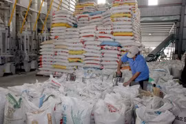 Filipinas comprará unas 300 mil toneladas de arroz vietnamita